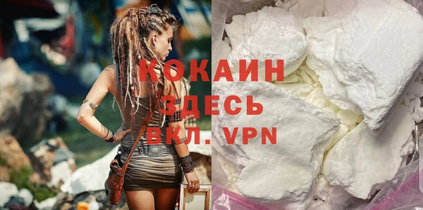 индика Беломорск