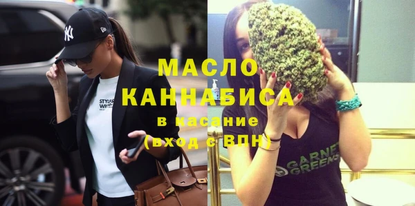 индика Беломорск