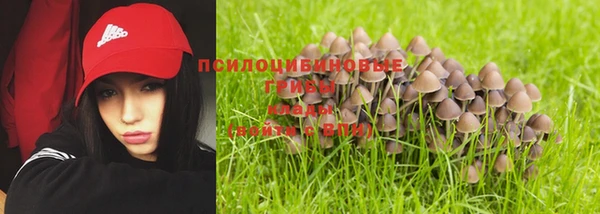 MESCALINE Богородицк