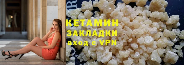 трава Белокуриха