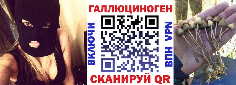 Галлюциногенные грибы Magic Shrooms  купить   Богородицк 